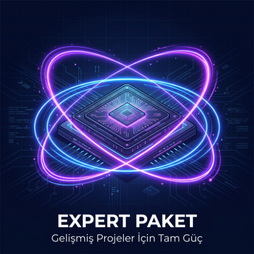 Expert Hosting Paketi